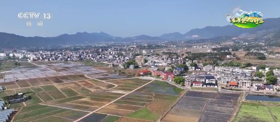 AI模型、“北斗”、物聯(lián)網(wǎng)……智慧農(nóng)業(yè)成為田間地頭新常態(tài)(圖13)